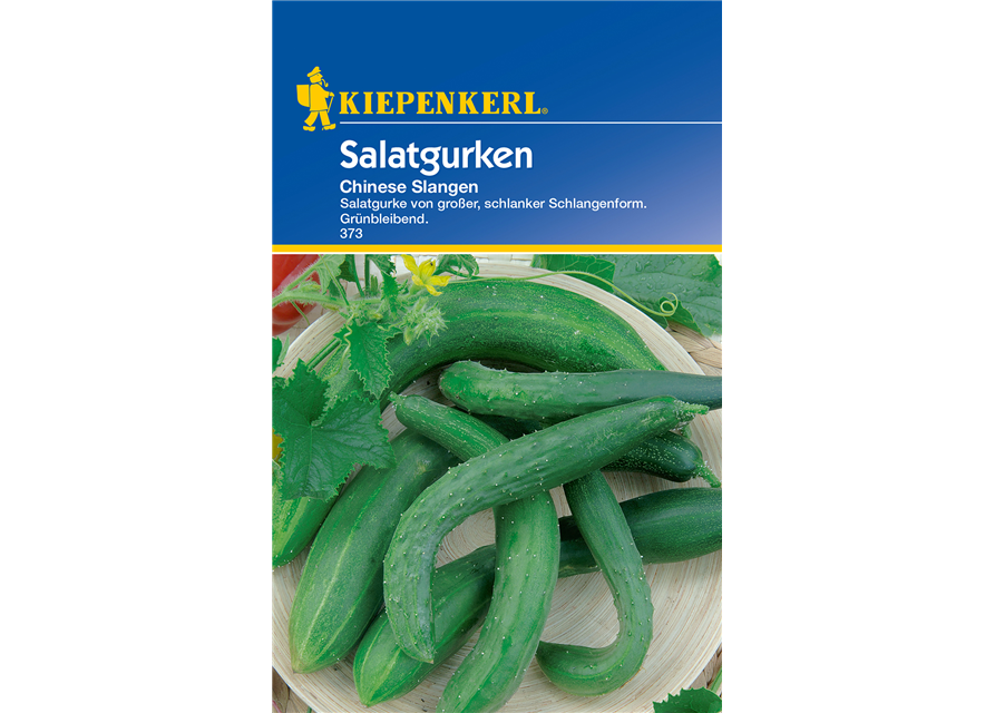 gurke-chinese-slangen-cucumis-sativus-chinese-slangen