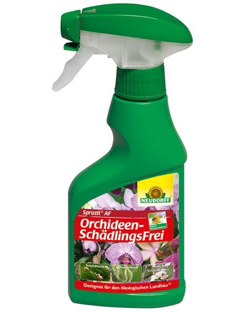 Spruzit AF OrchideenSchädlingsFrei