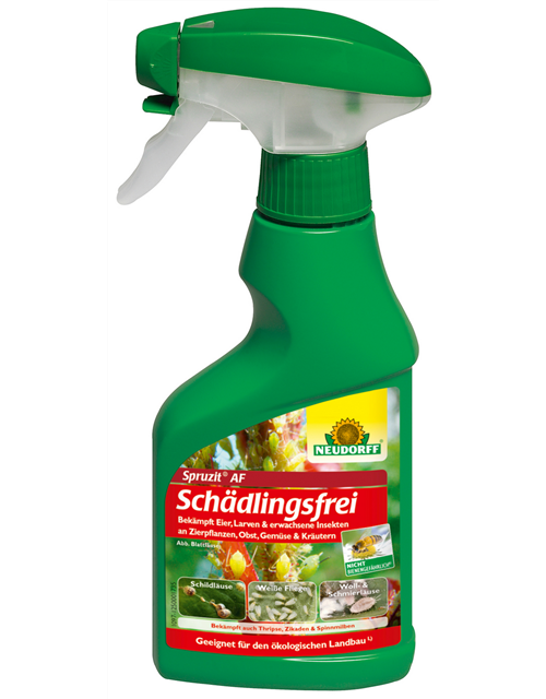 Spruzit AF Schädlingsfrei