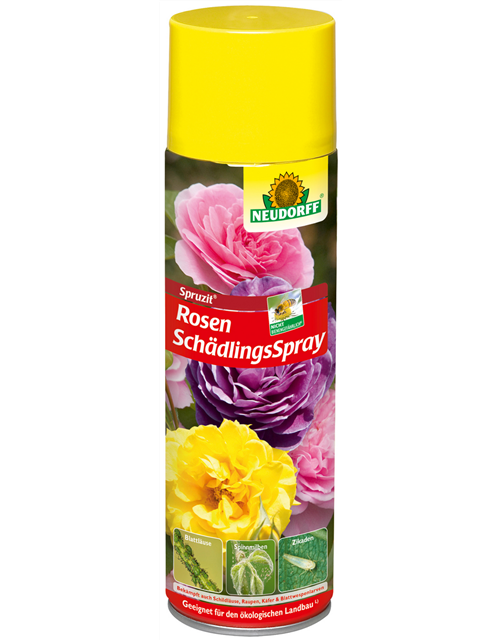 Spruzit RosenSchädlingsSpray