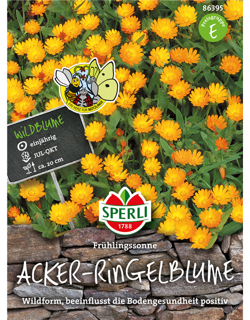 Acker-Ringelblume 'Frühlingssonne'