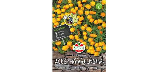 Acker-Ringelblume 'Frühlingssonne'