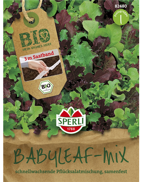 Babyleaf-Salat