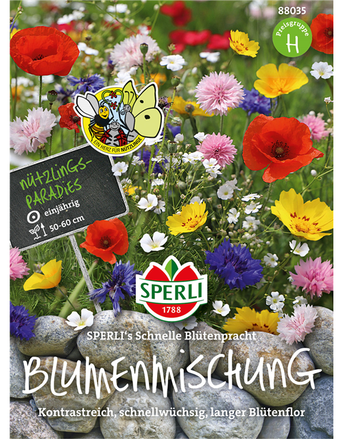 Blumenmischung 'Schnelle Blütenpracht'