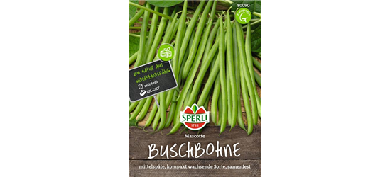 Buschbohne 'Mascotte'