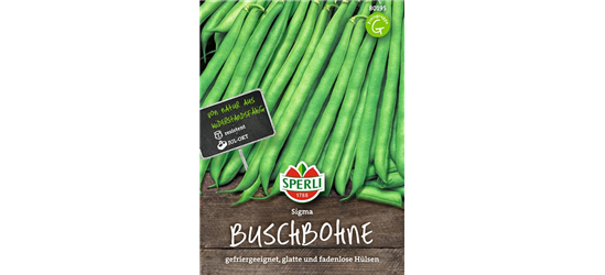 Buschbohne 'Sigma'