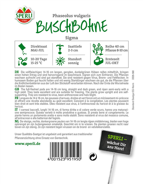 Buschbohne 'Sigma'