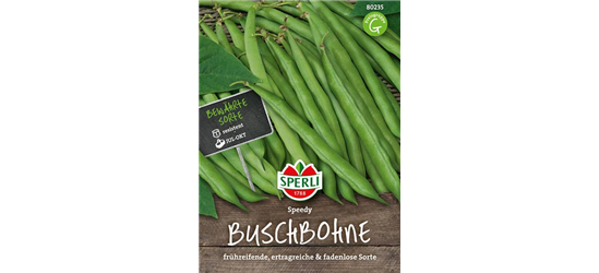 Buschbohne 'Speedy'