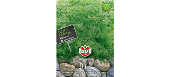 Dill 'Sari'