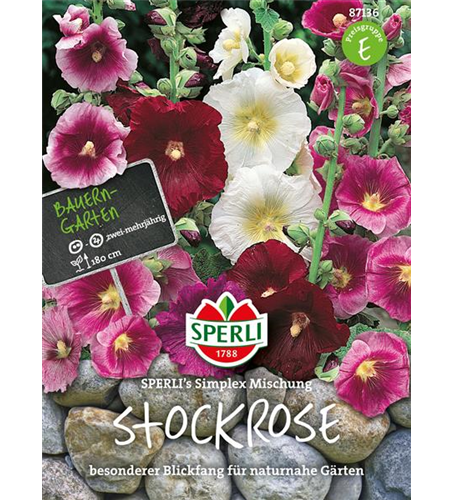 Einfachblühende Stockrose 'Simplex'