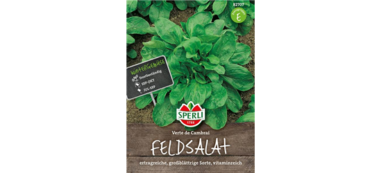 Feldsalat 'Verte de Cambrai'