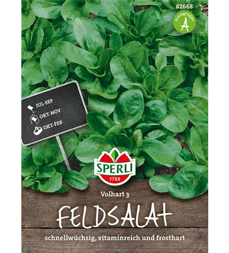 Feldsalat 'Vollhart 3'