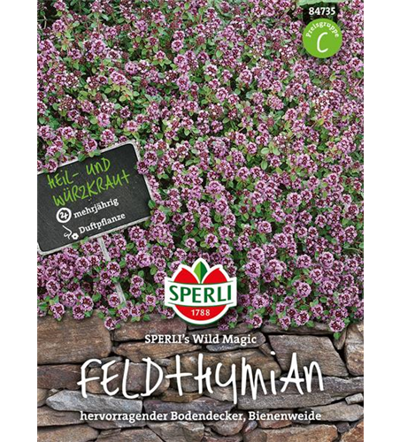 Feldthymian 'Wild Magic'