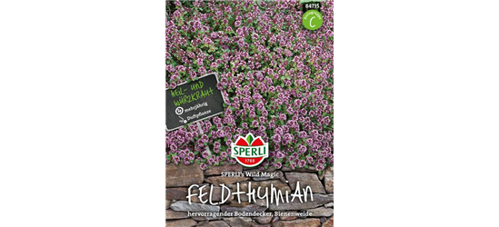 Feldthymian 'Wild Magic'