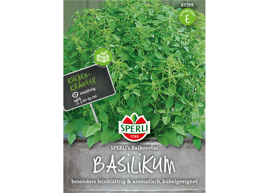 Garten-Basilikum 'Balkonstar'