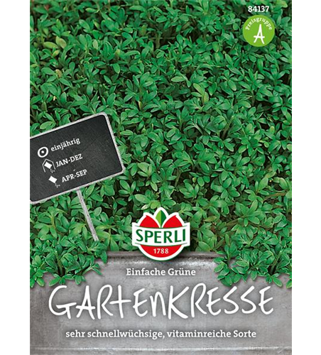 Gartenkresse 'Einfache Grüne'