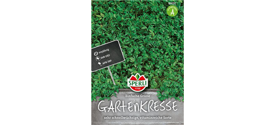 Gartenkresse 'Einfache Grüne'