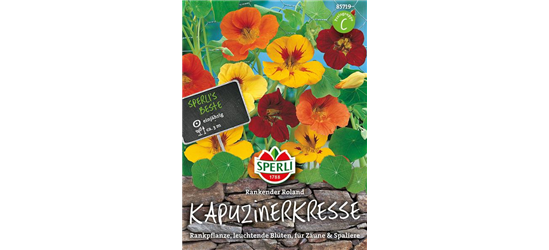 Kapuzinerkresse 'Rankender Roland'