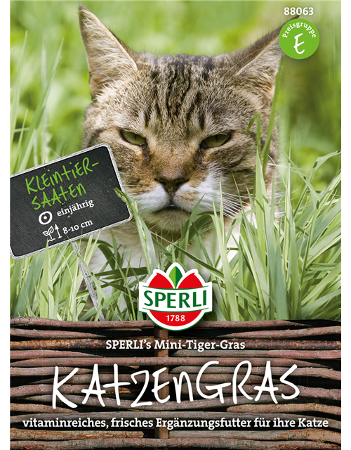 Katzengras