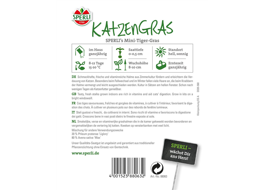 Katzengras