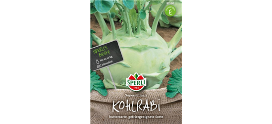 Kohlrabi 'Superschmelz'