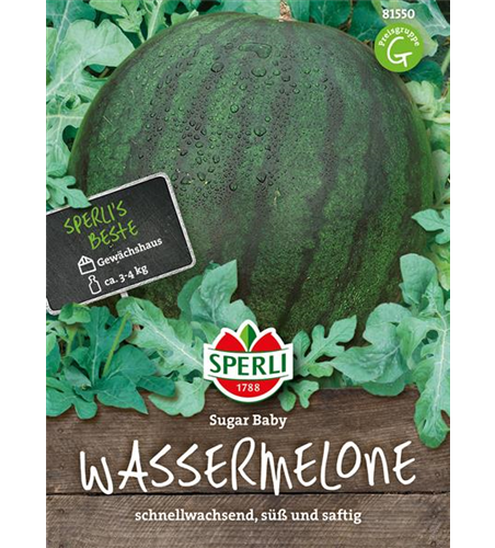 Kompakte Wassermelone 'Sugar Baby'