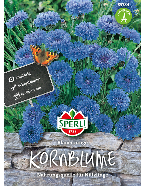 Kornblume 'Blauer Junge'