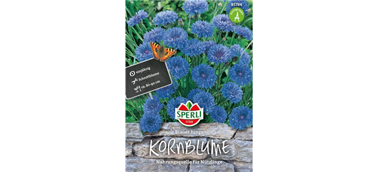 Kornblume 'Blauer Junge'