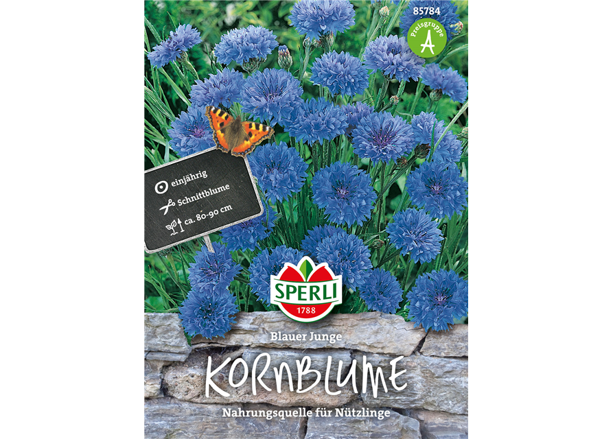 Kornblume 'Blauer Junge'