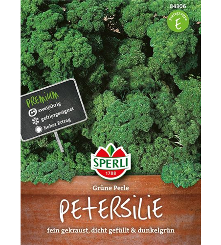 Krause Petersilie 'Grüne Perle'