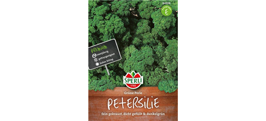 Krause Petersilie 'Grüne Perle'