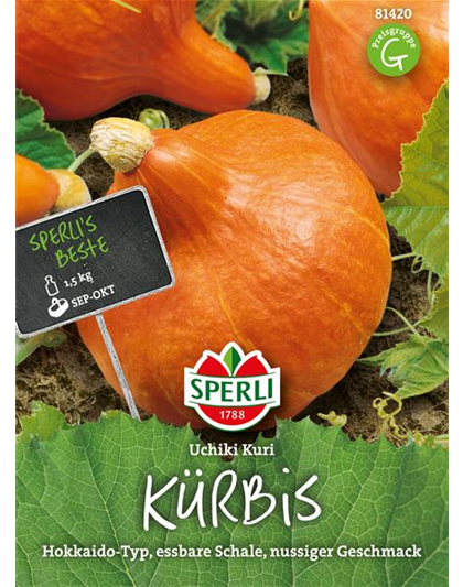 Kürbis 'Uchiki Kuri'