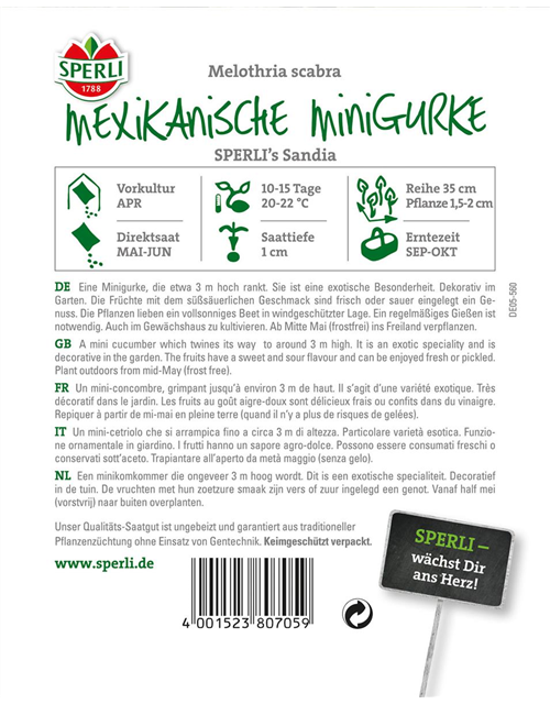 Mexikanische Minigurke 'Sandia'