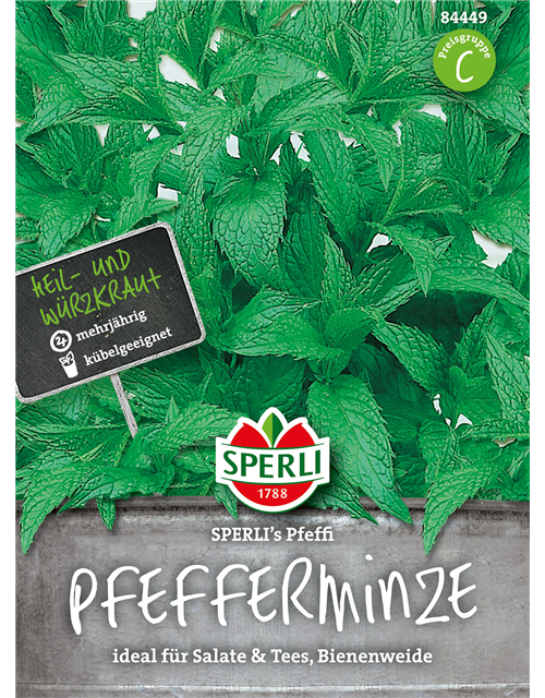 Pfefferminze 'Pfeffi'