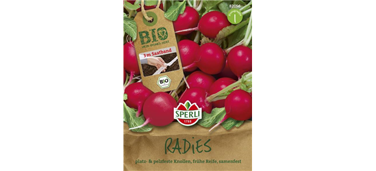 Radieschen 'Rudolf'