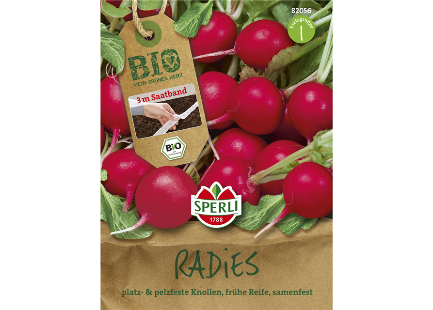 Radieschen 'Rudolf'