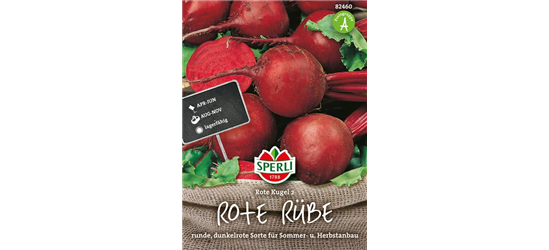 Rote Beete 'Rote Kugel 2'