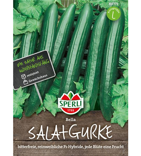 Salatgurke 'Bella'