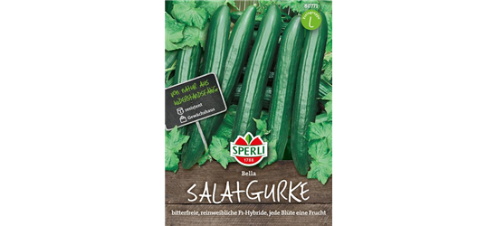 Salatgurke 'Bella'