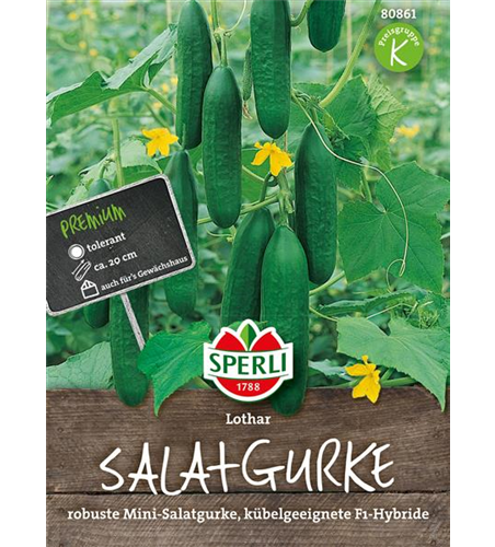 Salatgurke 'Lothar F1'