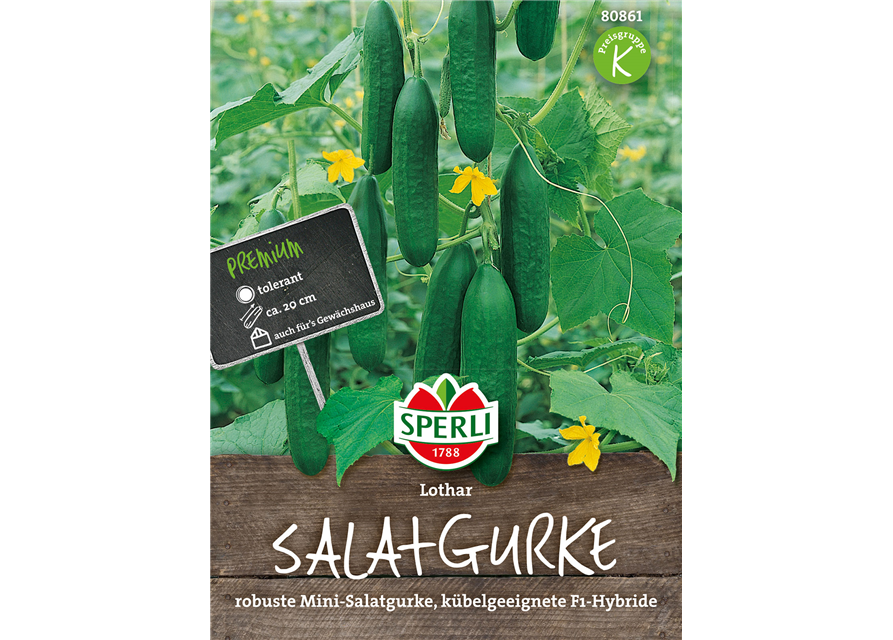 Salatgurke 'Lothar F1'