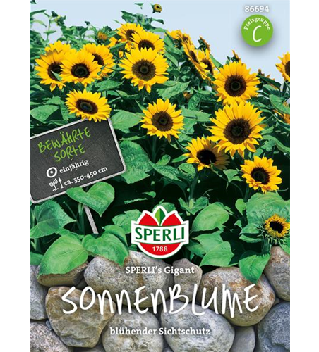 Sonnenblume 'Gigant'