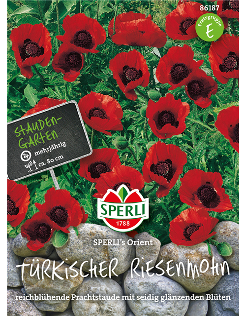 Türkischer Riesenmohn 'Orient'