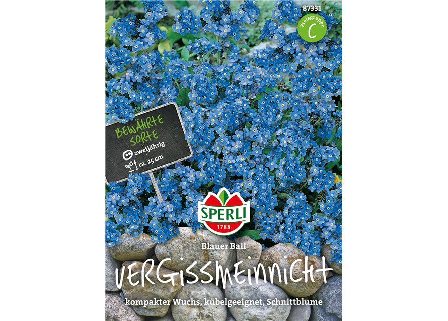 Wald-Vergissmeinnicht 'Blue Ball'