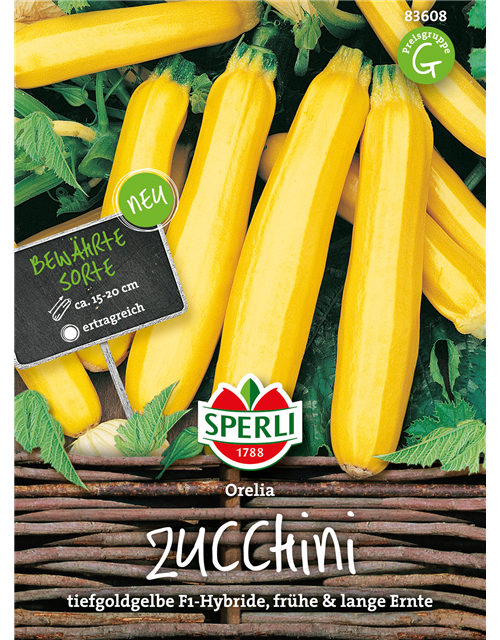 Zucchini 'Orelia'