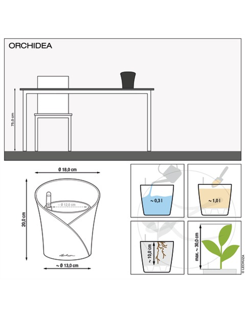 LECHUZA ORCHIDEA Color