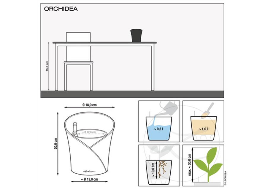 LECHUZA ORCHIDEA Color