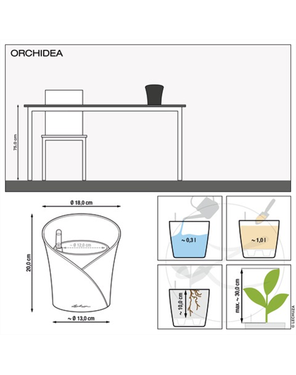 LECHUZA ORCHIDEA Color