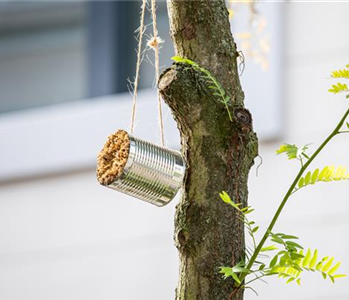 WIE GEHT... INSEKTENHOTEL?