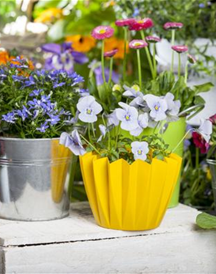 FRüHLING AUF DEM BALKON